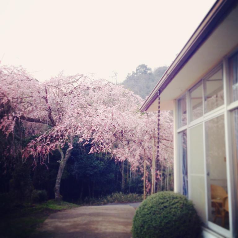 Amanohashidate Youth Hostel Mijazu Kültér fotó